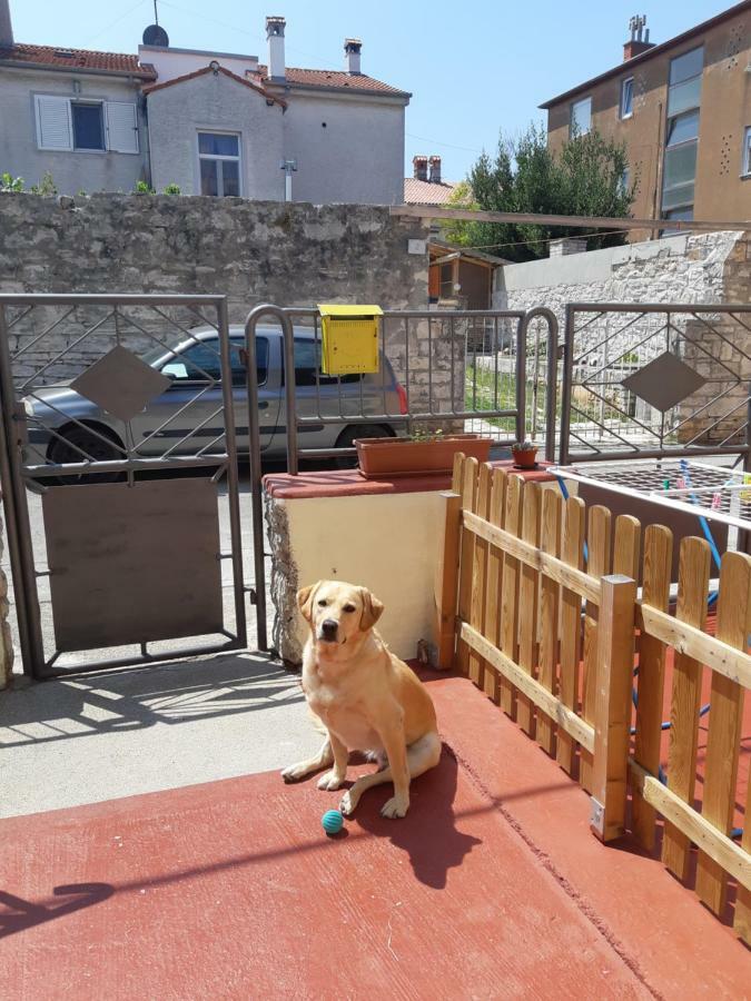 PUY Studio Apartman Danijela מראה חיצוני תמונה
